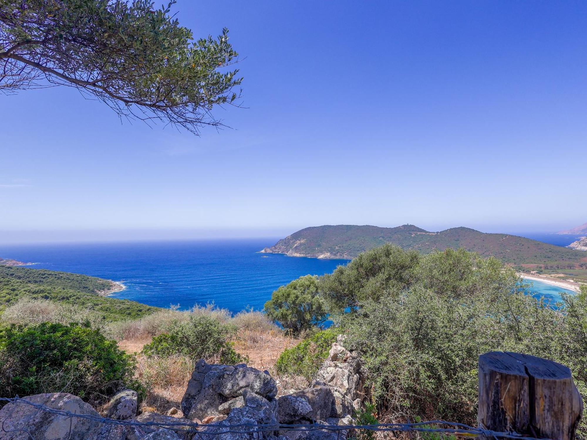Camping Torraccia Cargese Bagian luar foto